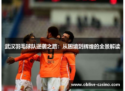 武汉羽毛球队逆袭之路：从困境到辉煌的全景解读