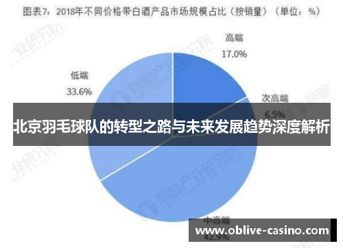 北京羽毛球队的转型之路与未来发展趋势深度解析