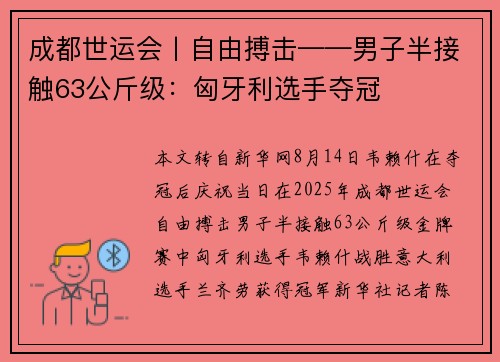 成都世运会丨自由搏击——男子半接触63公斤级：匈牙利选手夺冠